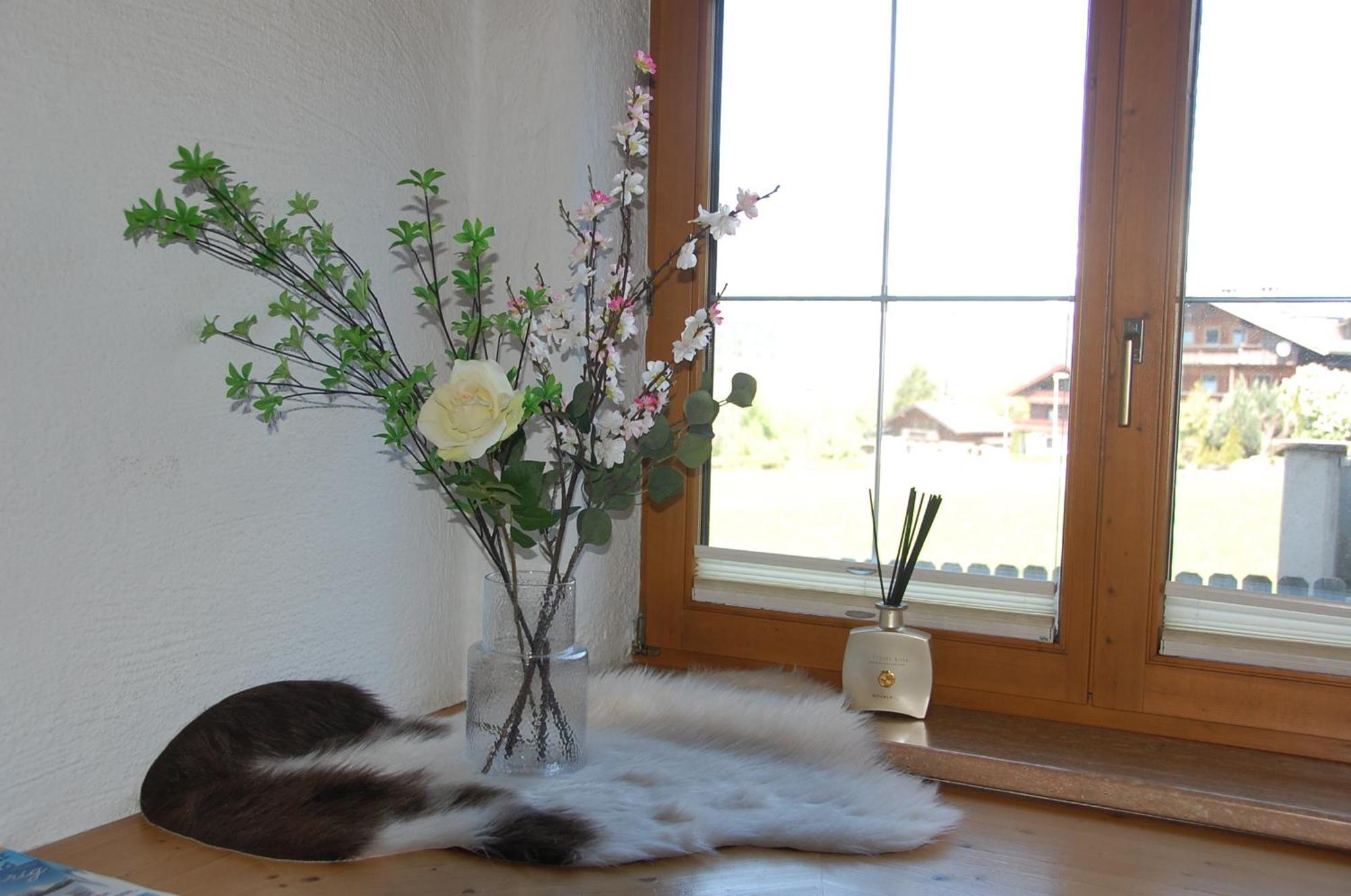 Haus Hart Im Zillertal 6 Personen Βίλα Εξωτερικό φωτογραφία